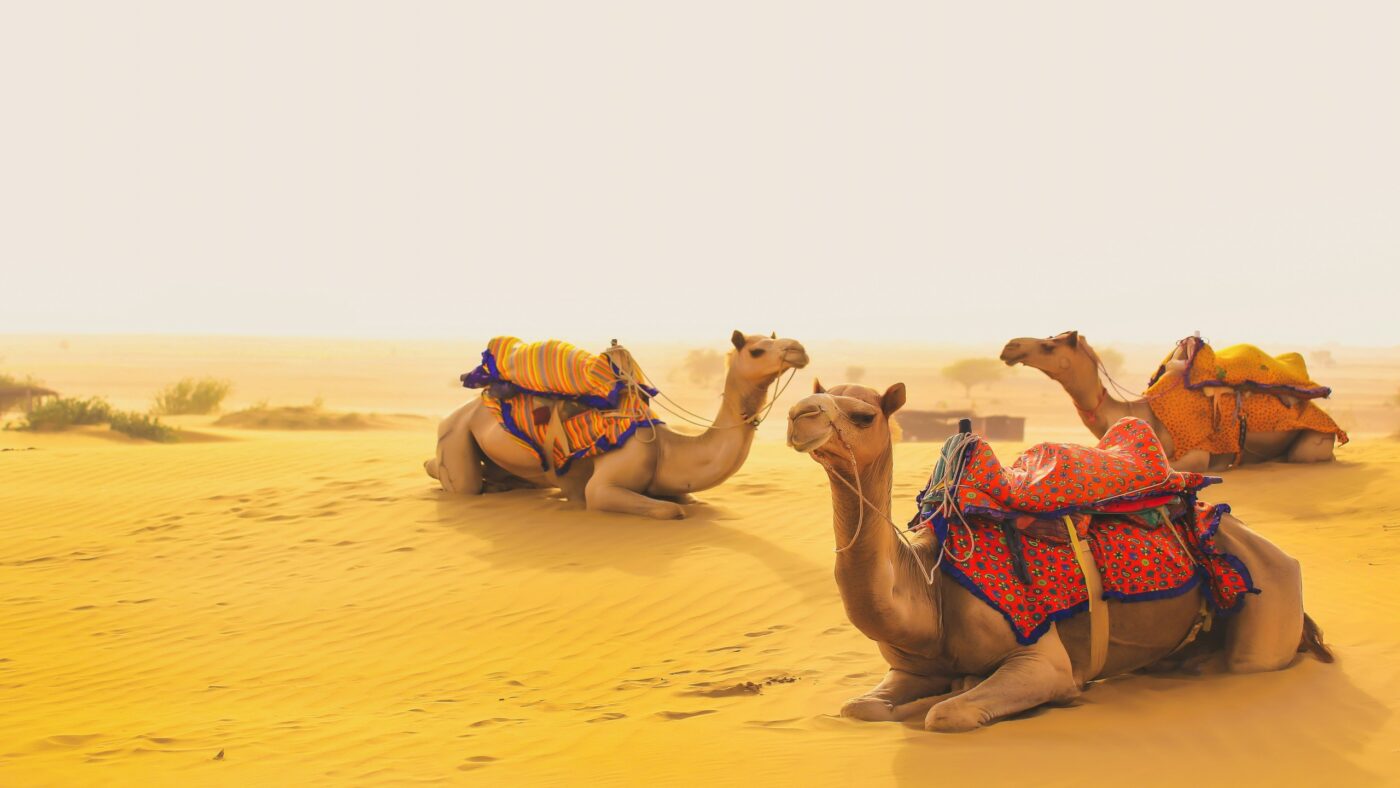 Jaisalmer desert