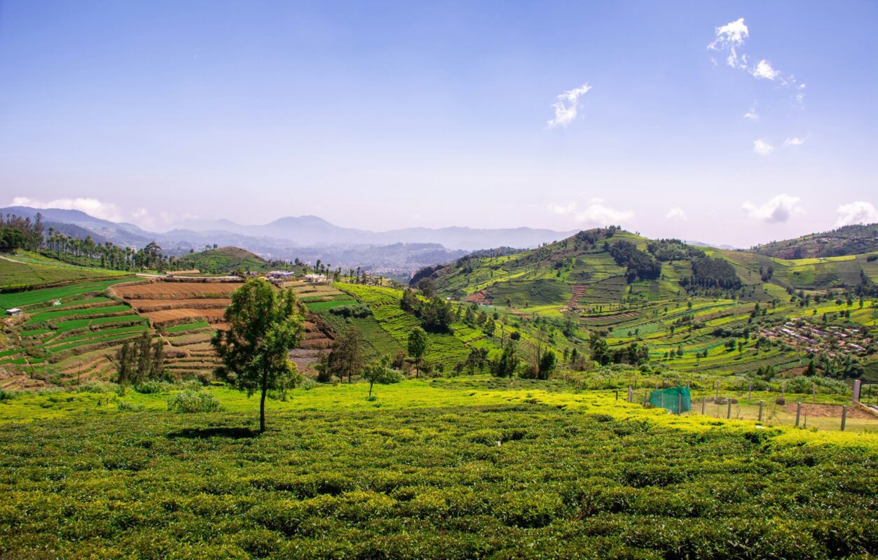 wayanad